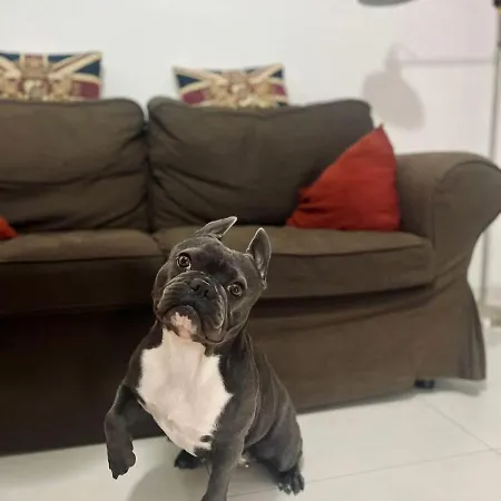 公寓 Studio_suite05